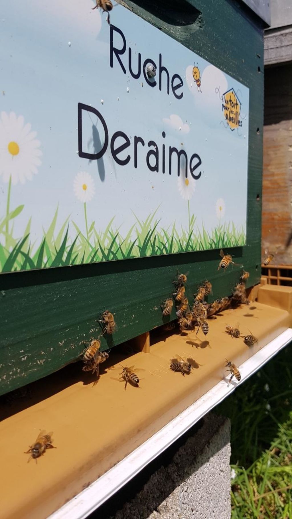 La ruche Deraime