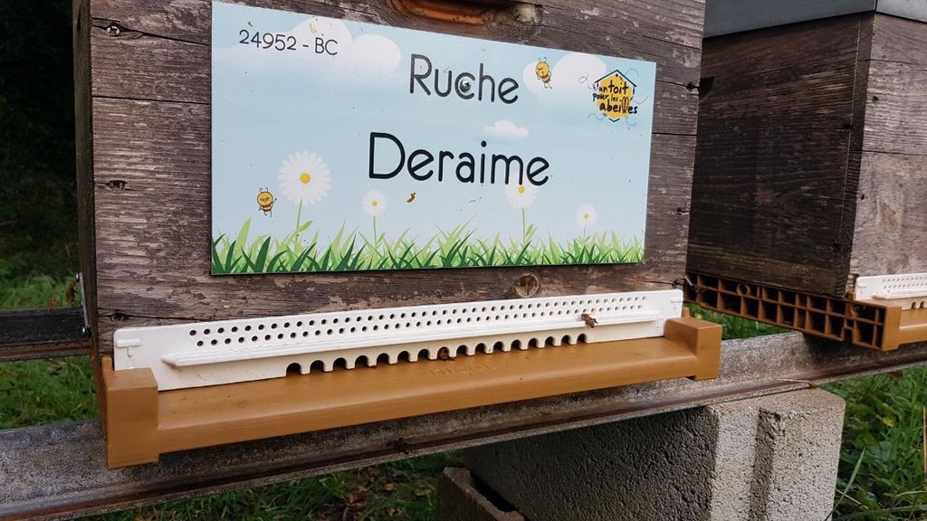 La ruche Deraime