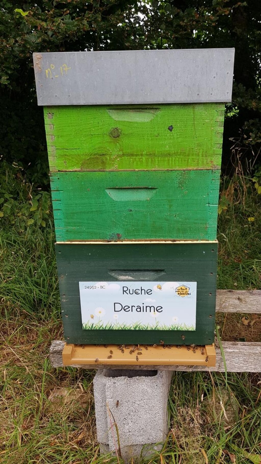La ruche Deraime