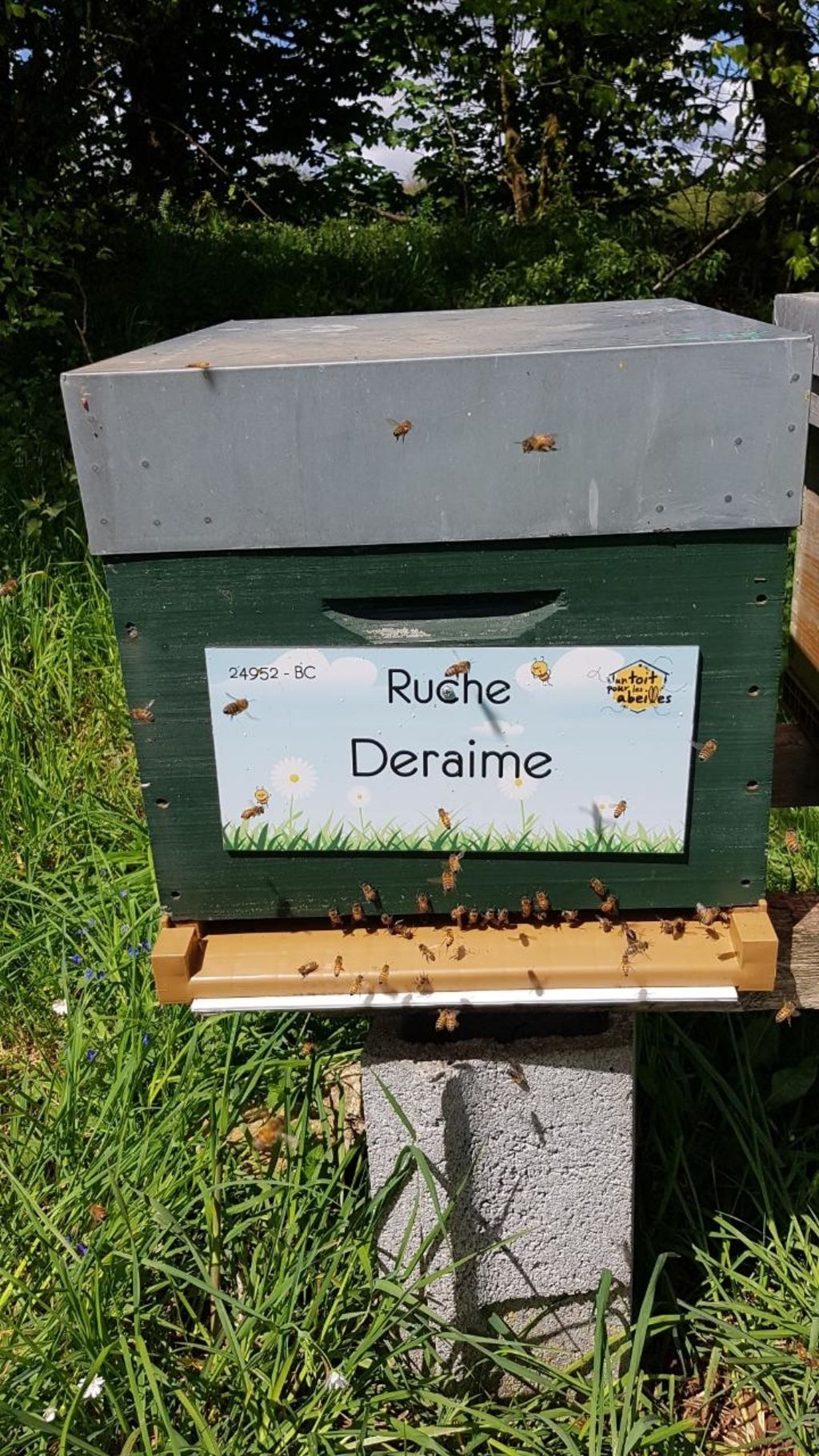 La ruche Deraime