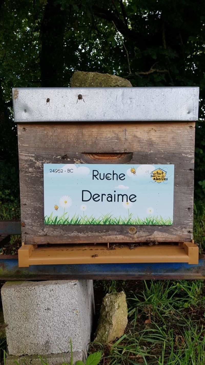 La ruche Deraime
