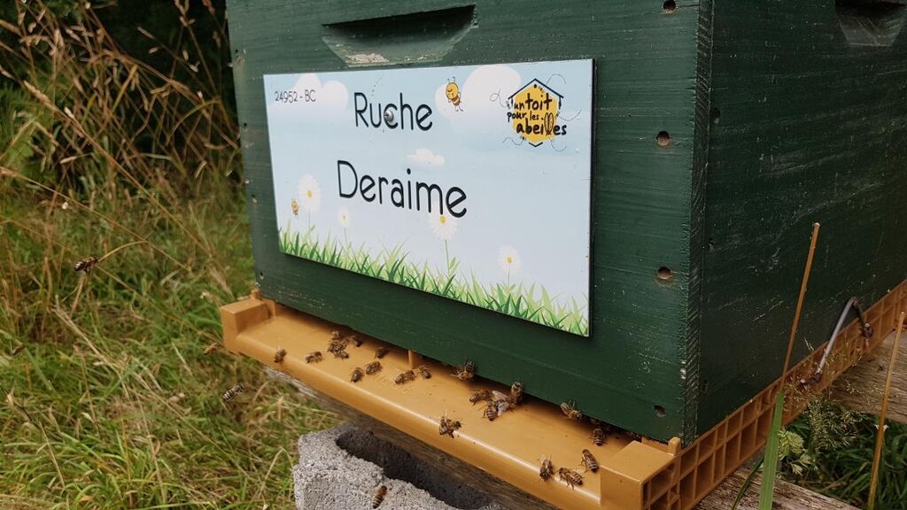 La ruche Deraime