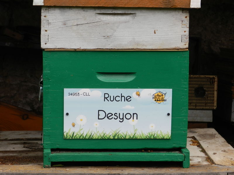 La ruche Desyon