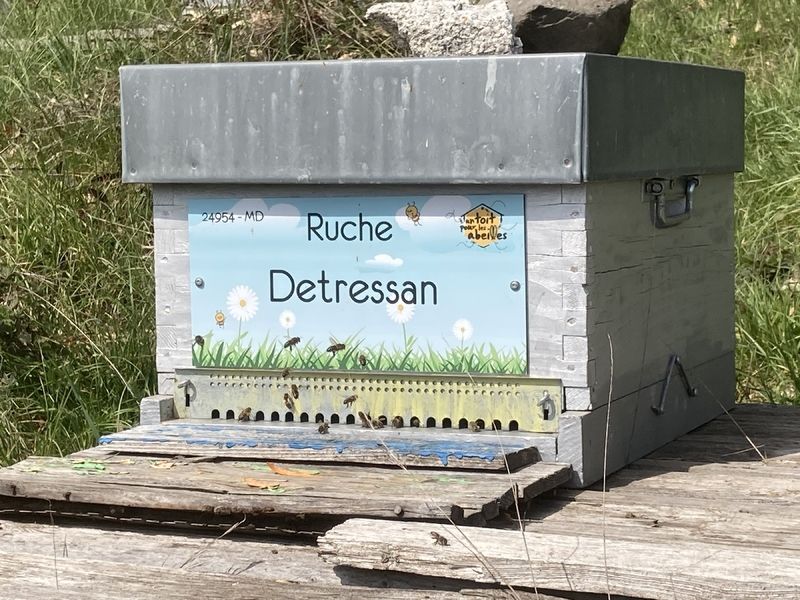 La ruche
