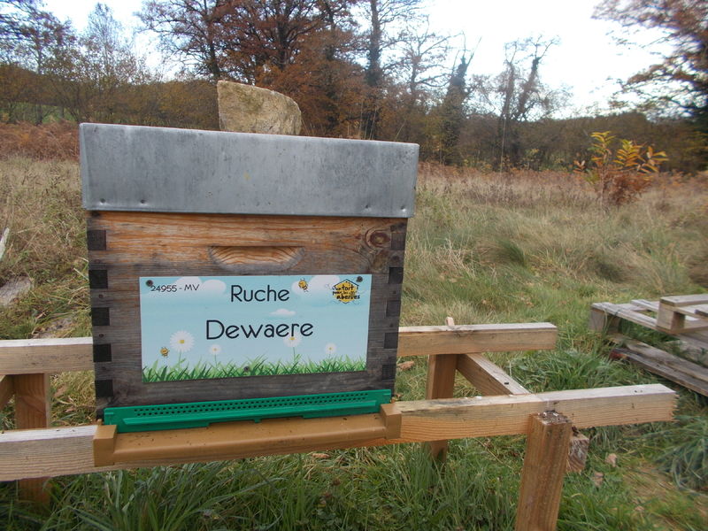 La ruche Dewaere