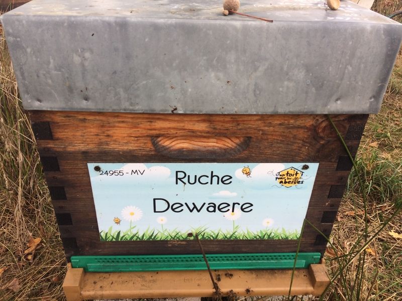 La ruche Dewaere