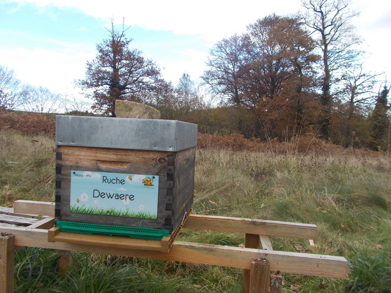 La ruche Dewaere