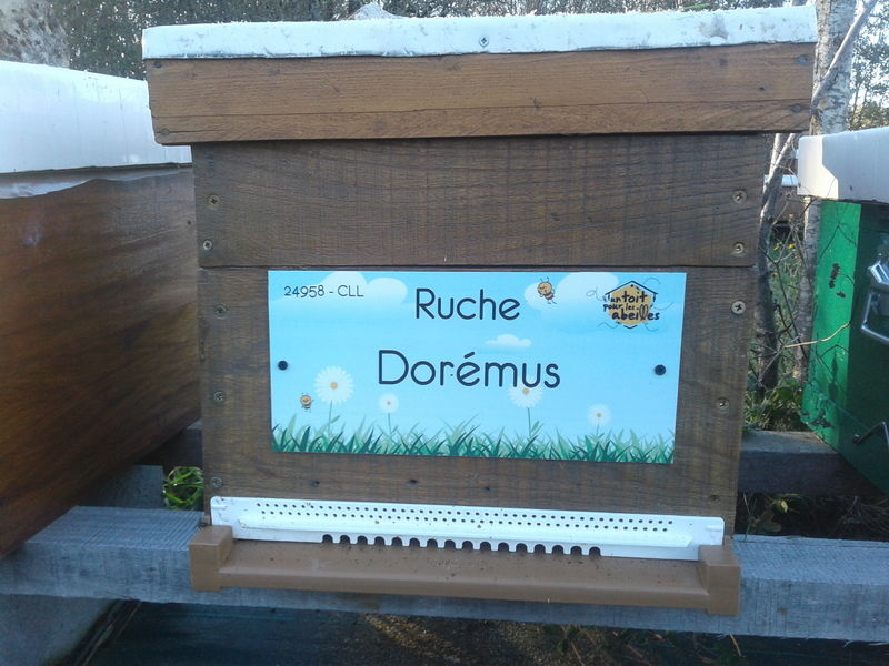 La ruche Dorémus