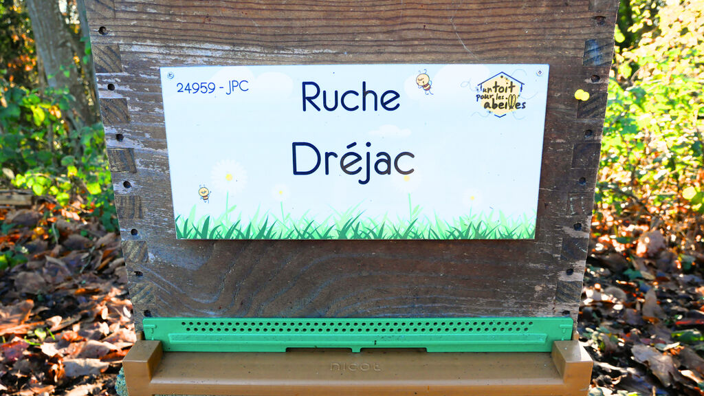 La ruche Dréjac