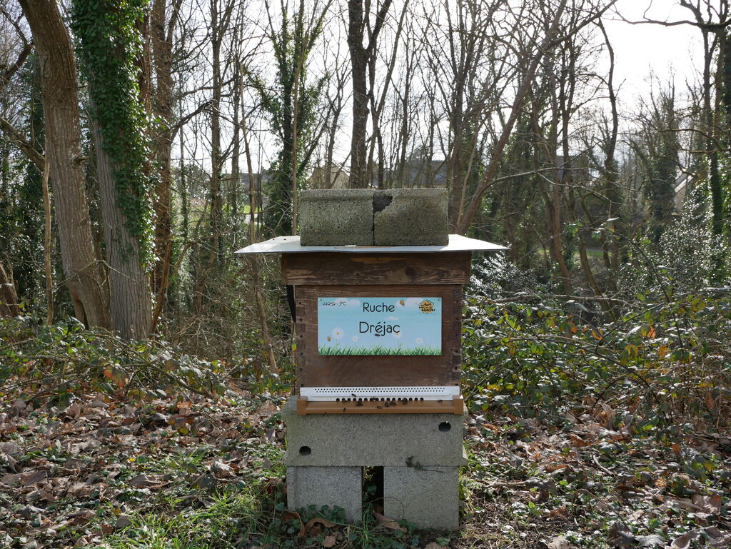 La ruche Dréjac