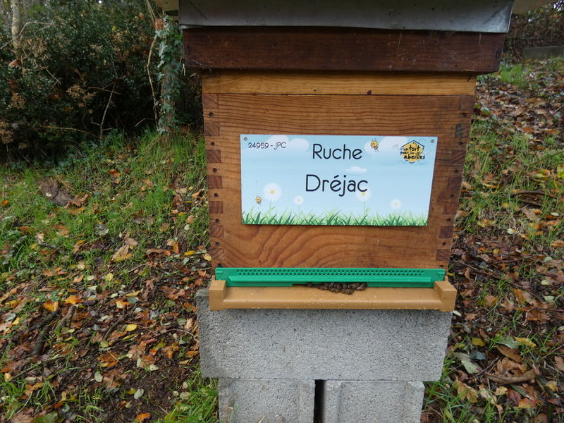 La ruche Dréjac