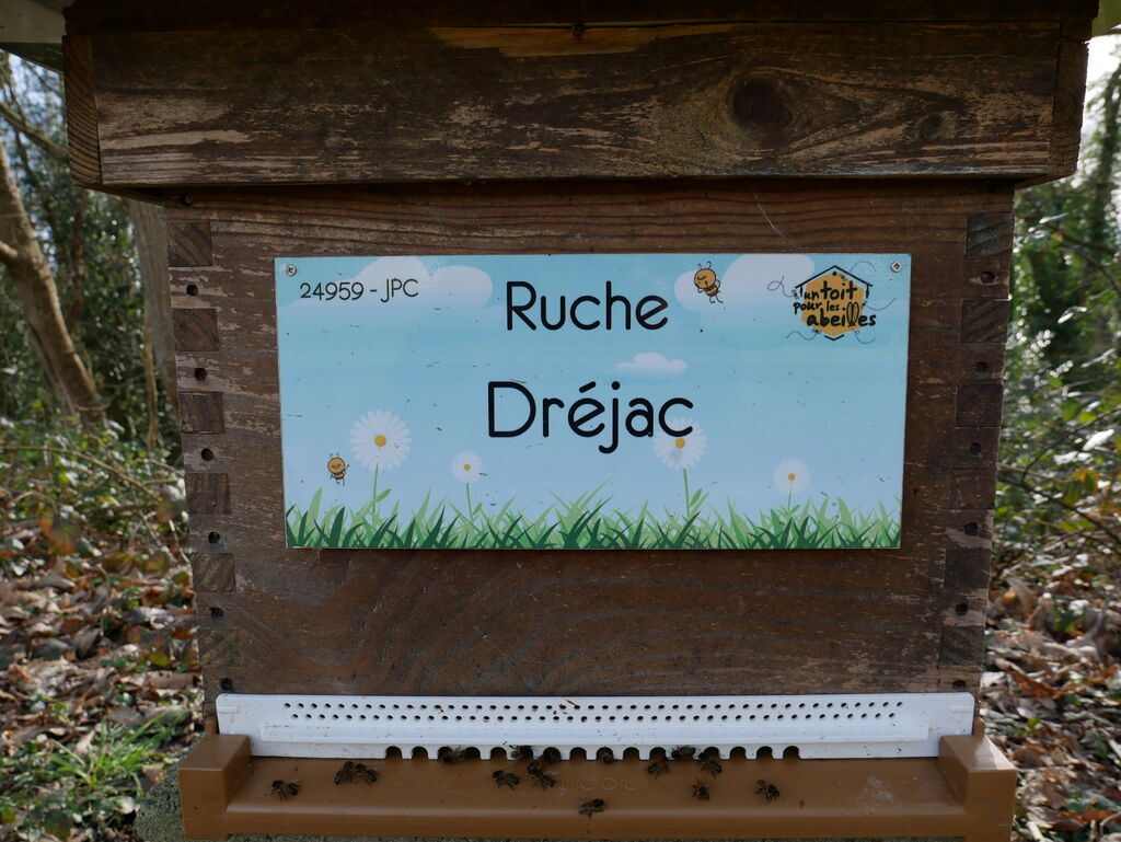 La ruche Dréjac