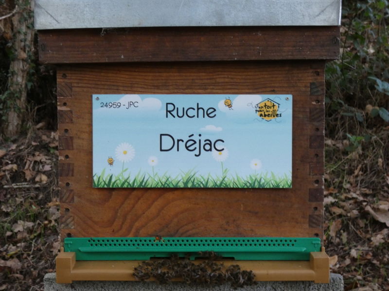 La ruche Dréjac