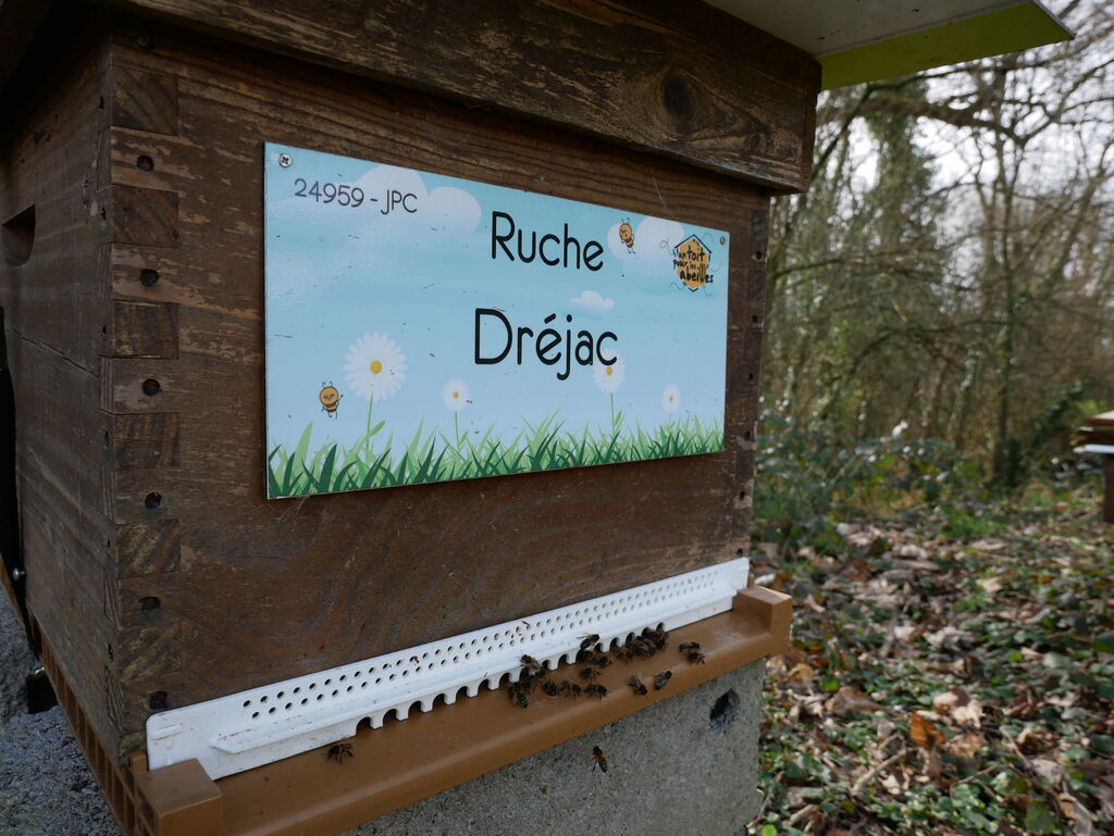 La ruche Dréjac
