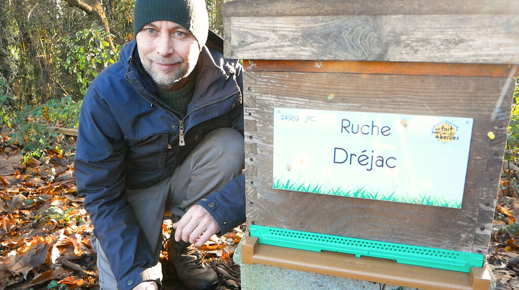 La ruche Dréjac
