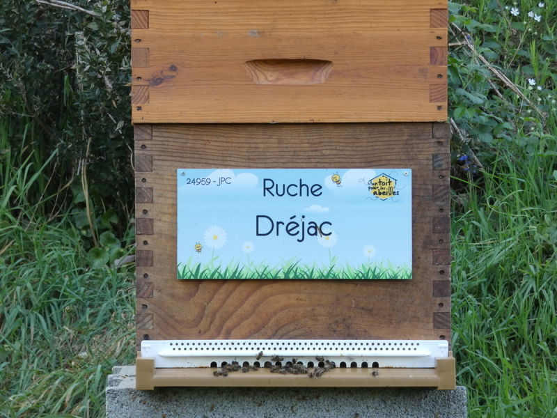 La ruche Dréjac