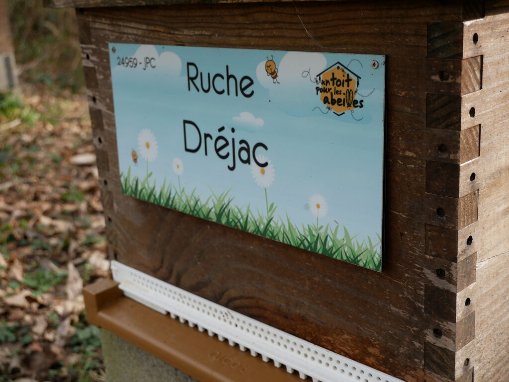La ruche Dréjac