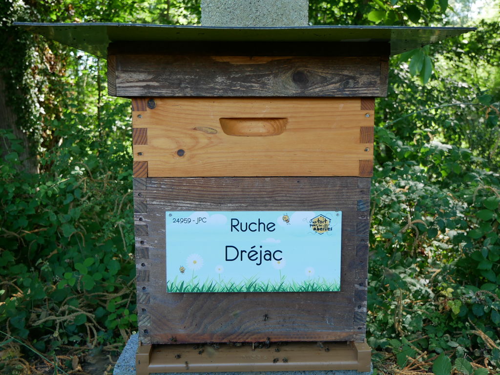 La ruche Dréjac