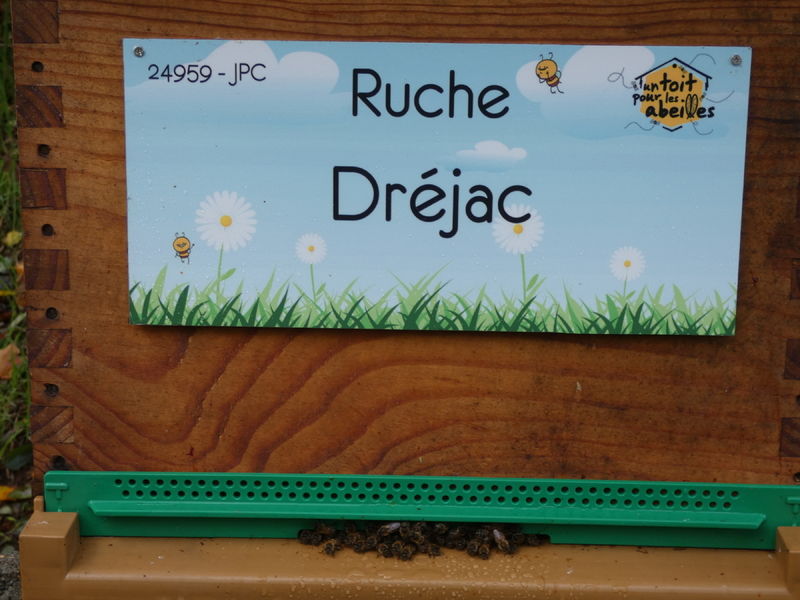 La ruche Dréjac