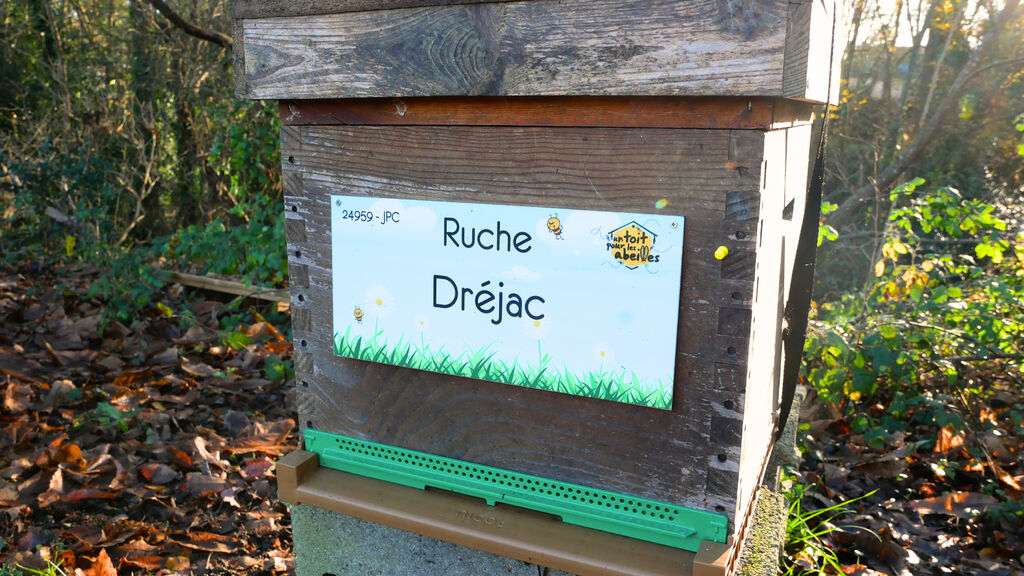 La ruche Dréjac