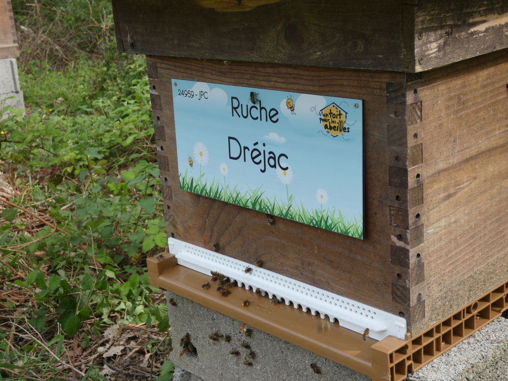 La ruche Dréjac