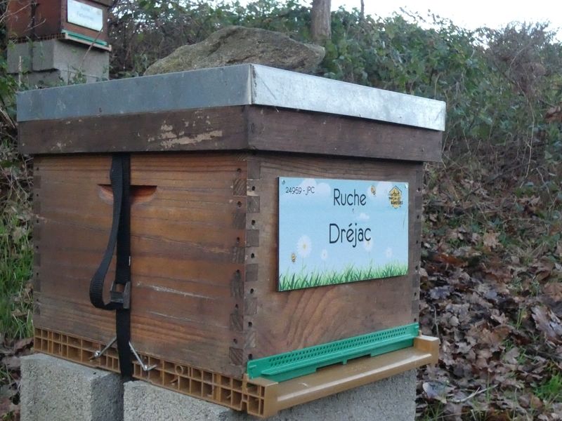 La ruche Dréjac