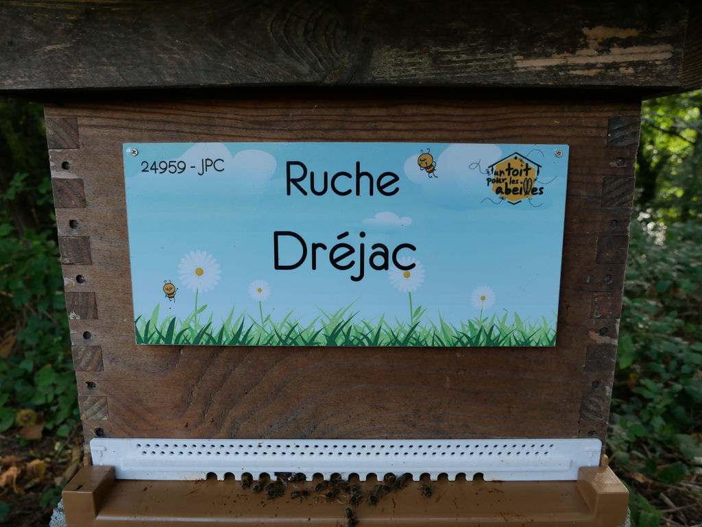La ruche Dréjac
