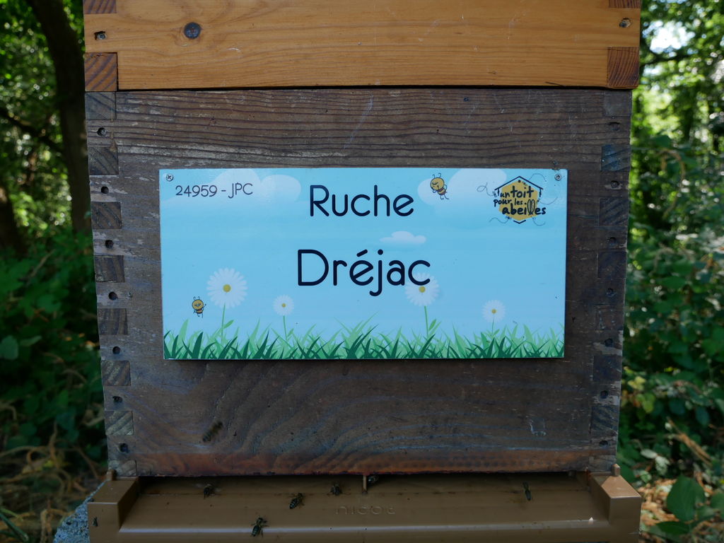 La ruche Dréjac