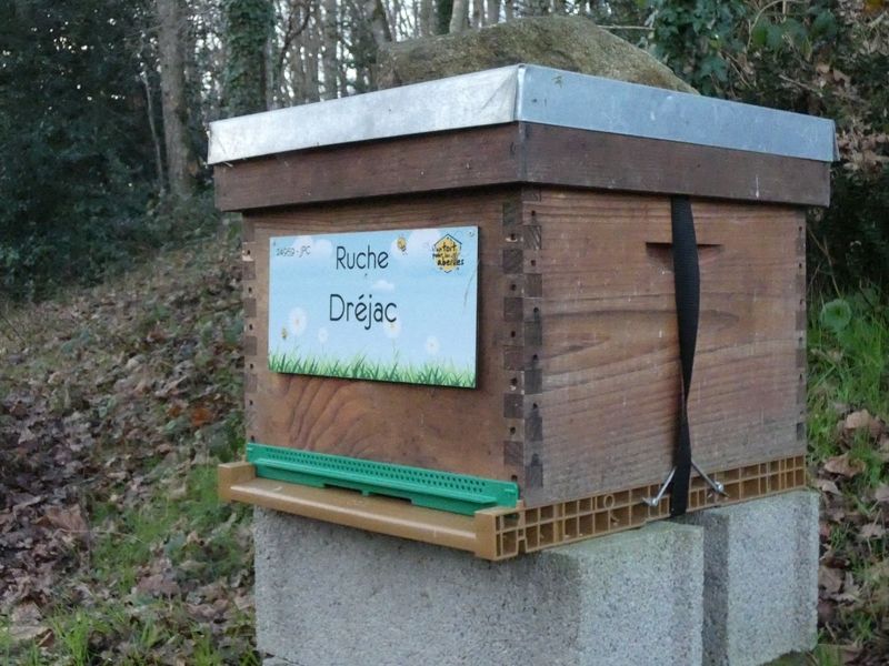 La ruche Dréjac
