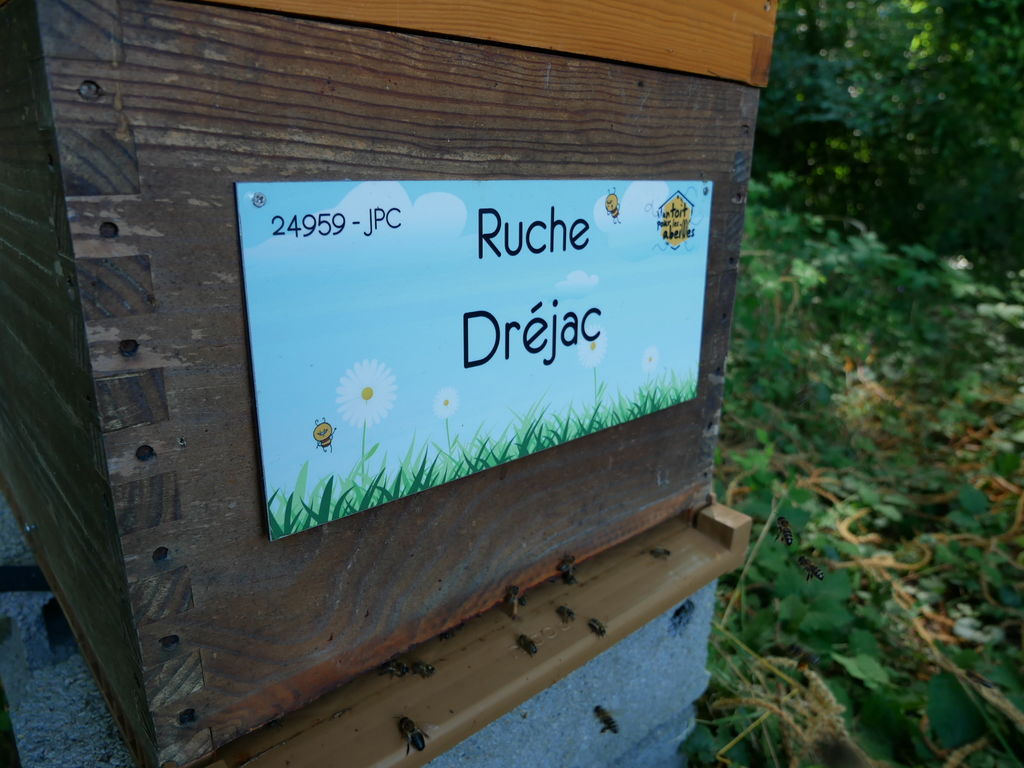 La ruche Dréjac