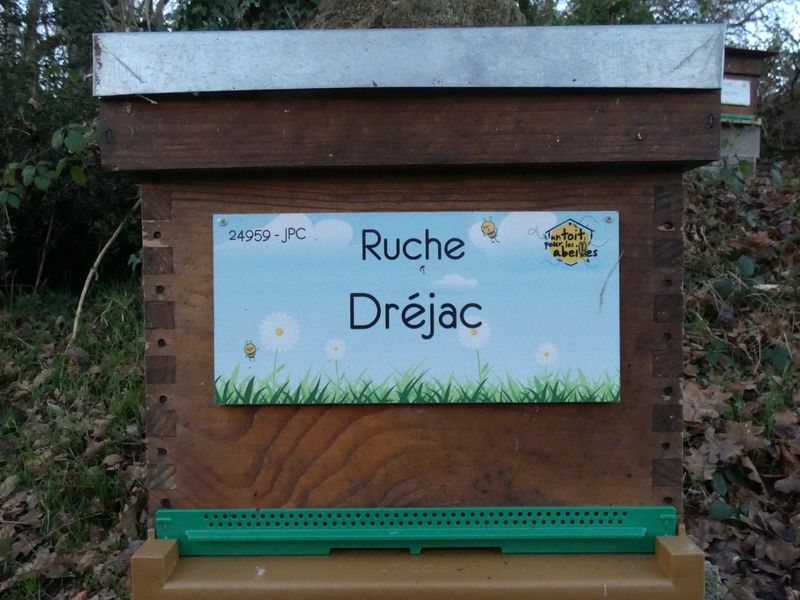 La ruche Dréjac