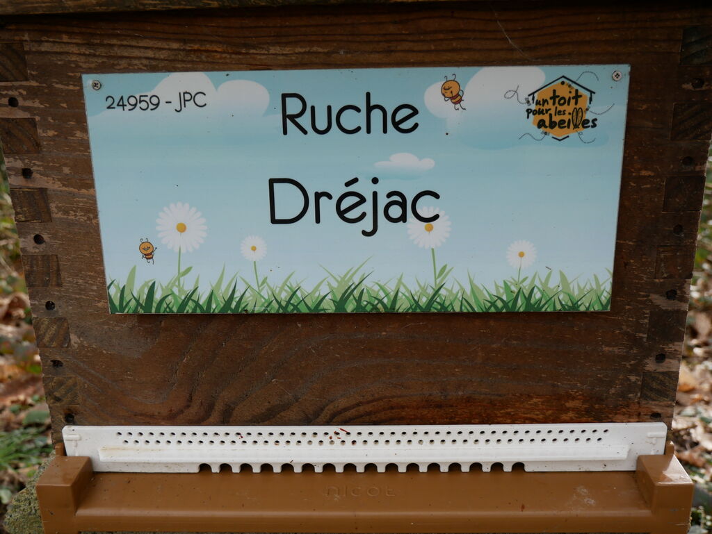 La ruche Dréjac