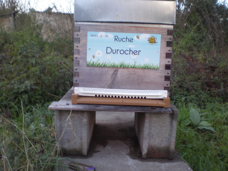 La ruche Durocher