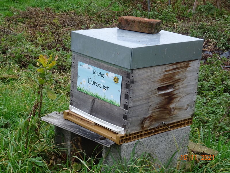 La ruche Durocher