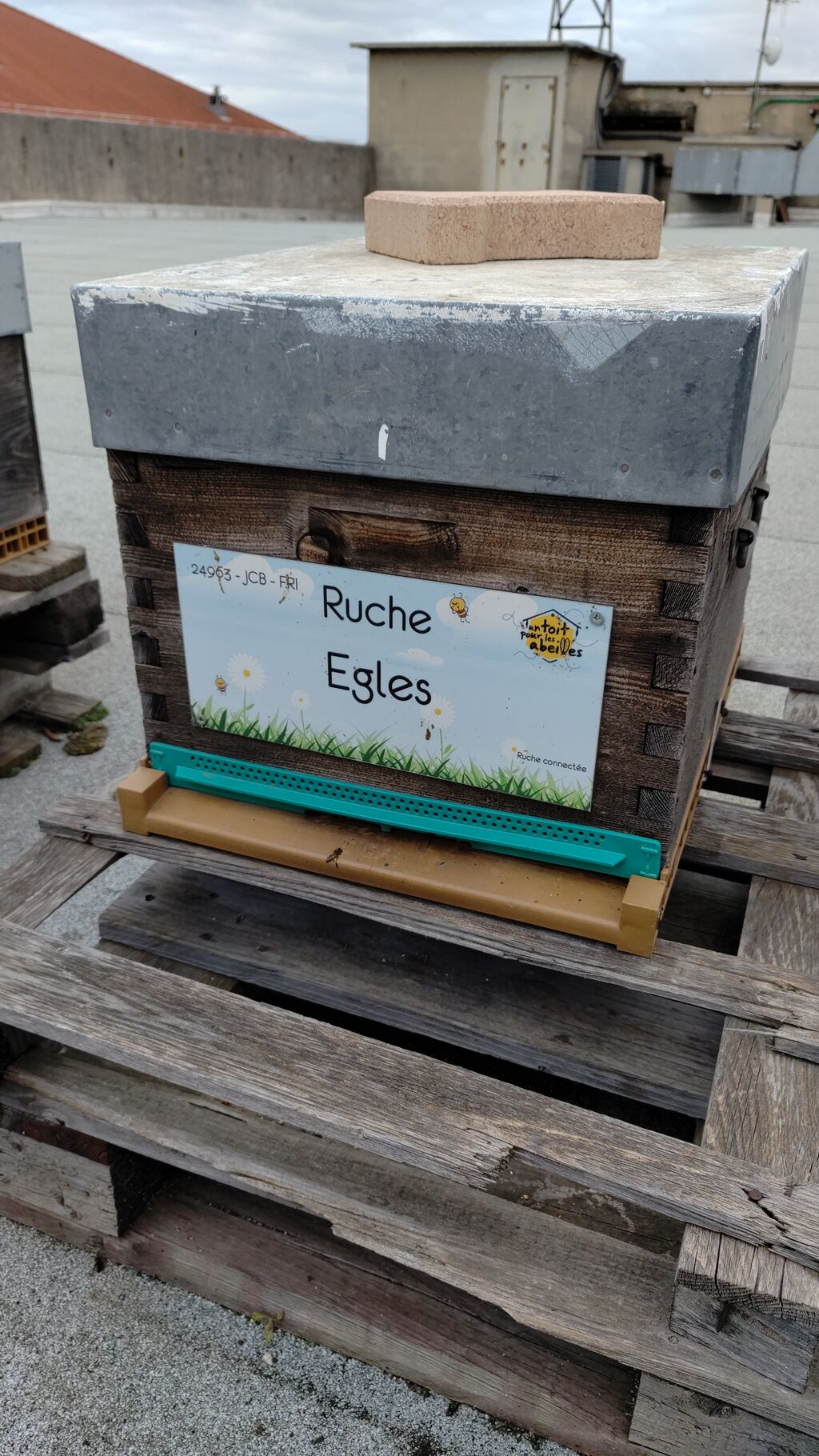 La ruche Egles