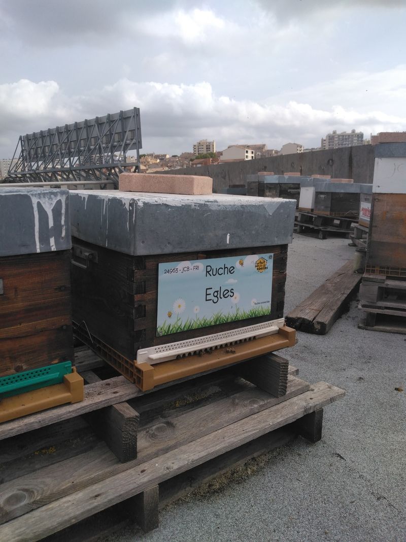 La ruche Egles