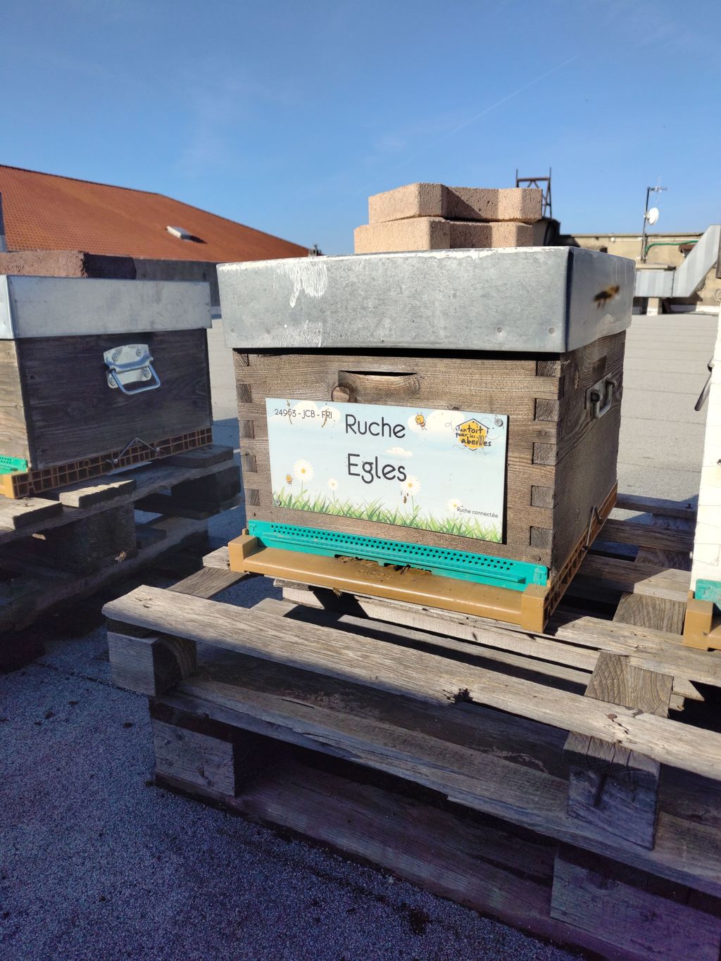 La ruche Egles