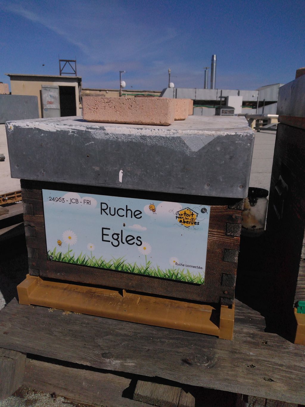 La ruche Egles