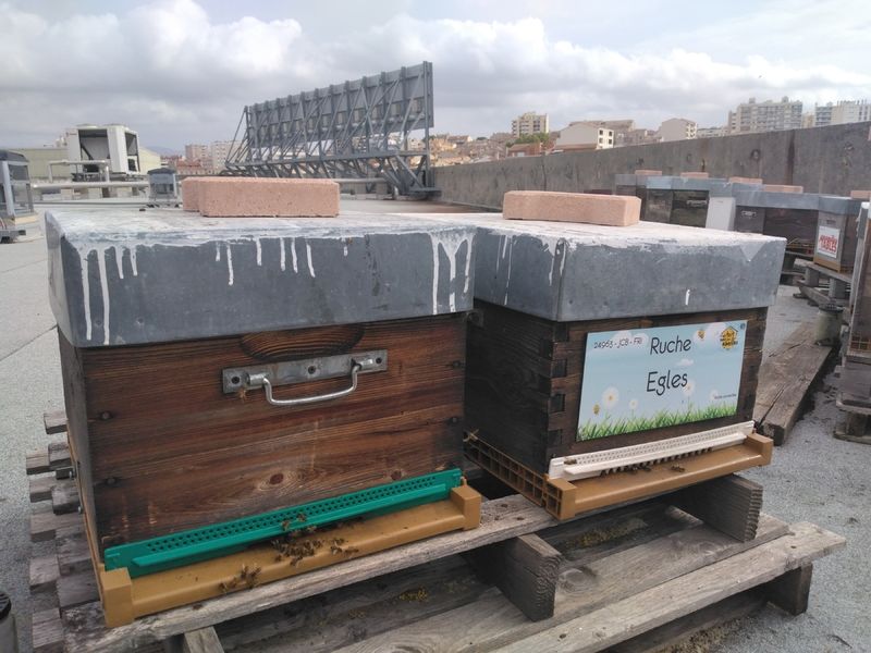 La ruche Egles
