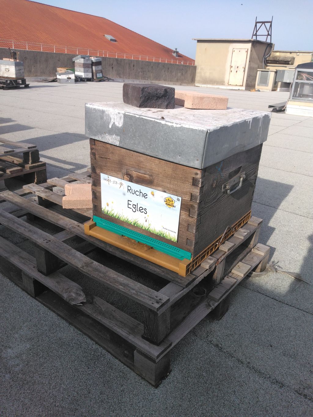 La ruche Egles