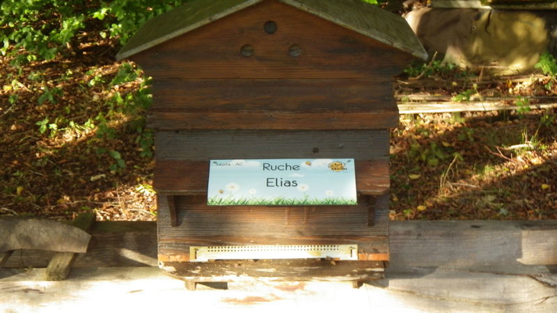 La ruche