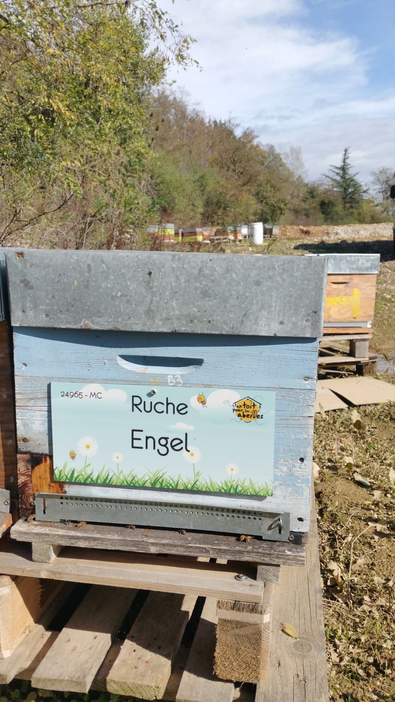 La ruche