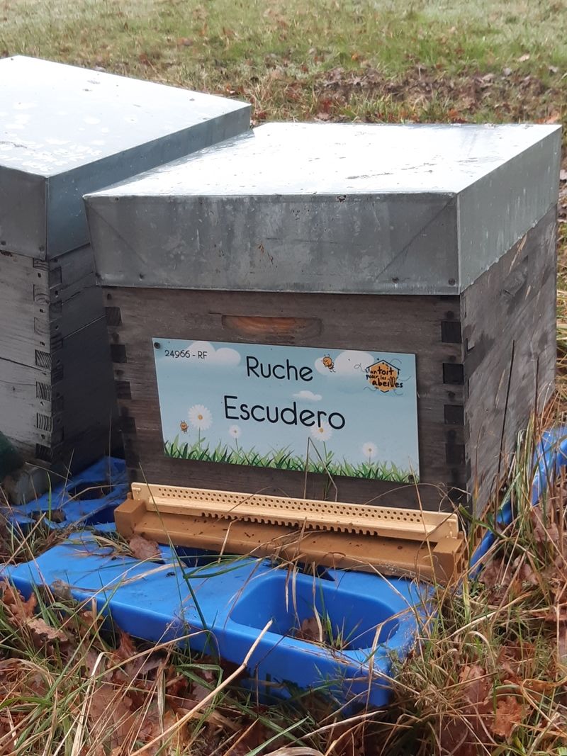 La ruche Escudero