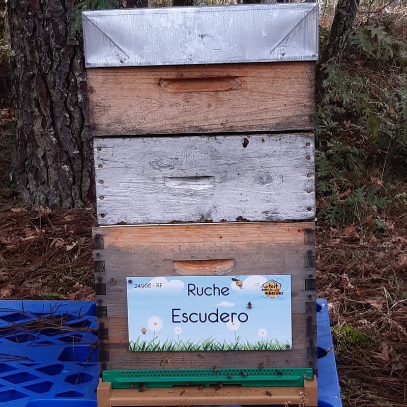 La ruche Escudero