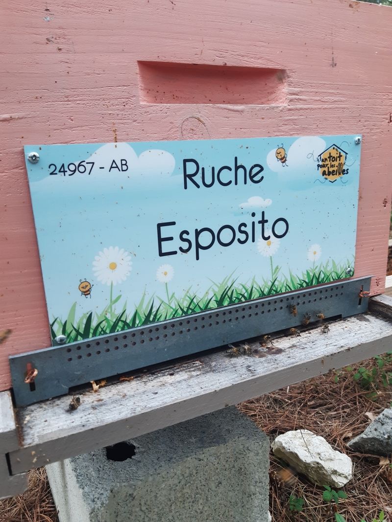 La ruche Esposito