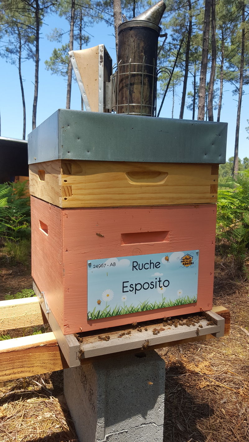 La ruche Esposito
