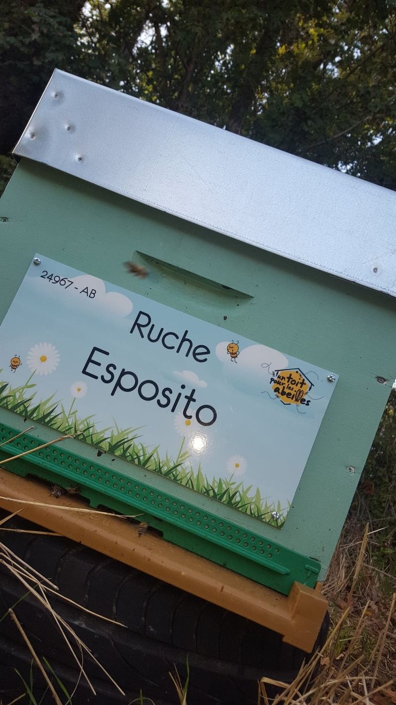 La ruche Esposito