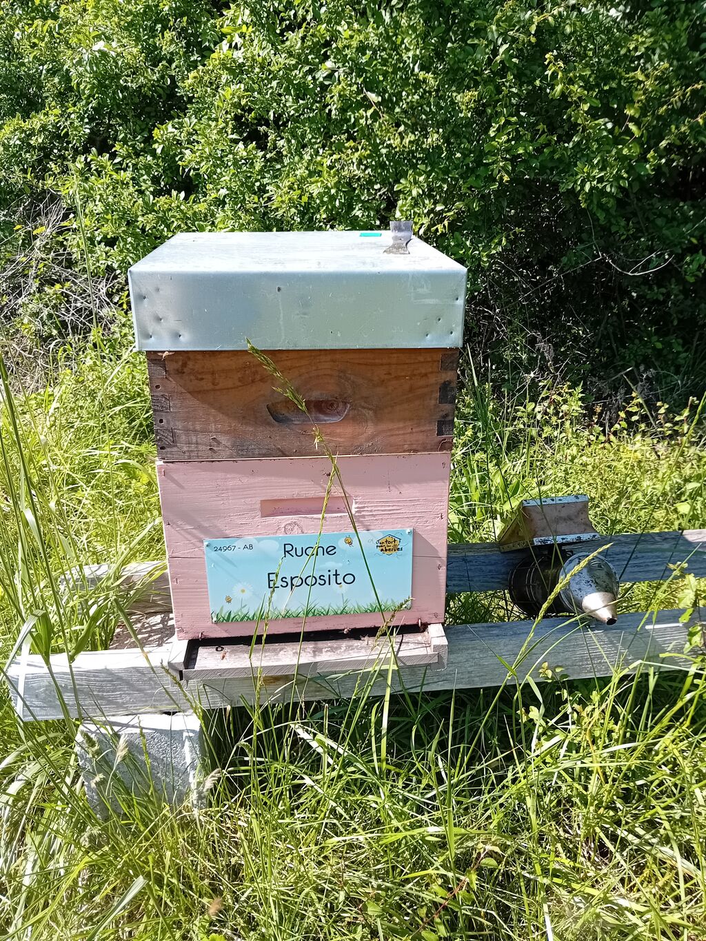 La ruche Esposito
