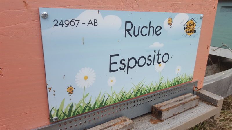 La ruche Esposito