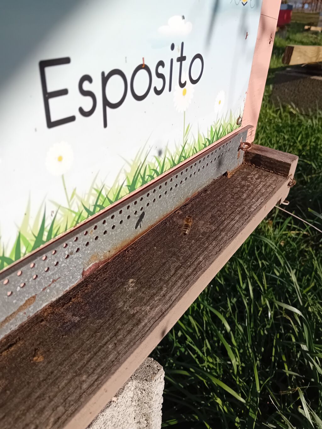 La ruche Esposito